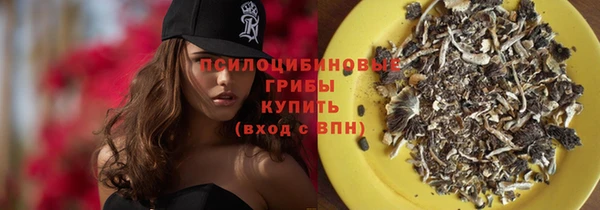 ГАЛЛЮЦИНОГЕННЫЕ ГРИБЫ Аркадак