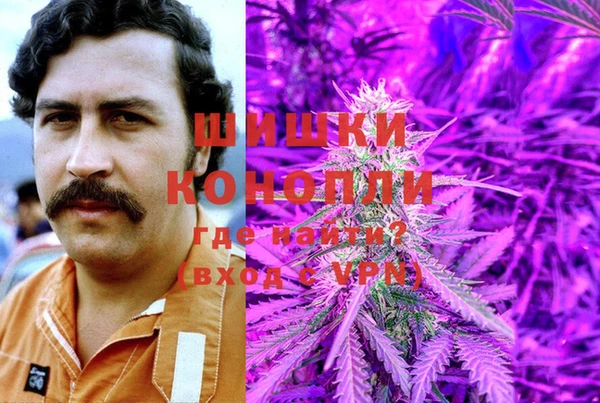 ГАЛЛЮЦИНОГЕННЫЕ ГРИБЫ Аркадак