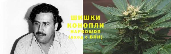 ГАЛЛЮЦИНОГЕННЫЕ ГРИБЫ Аркадак