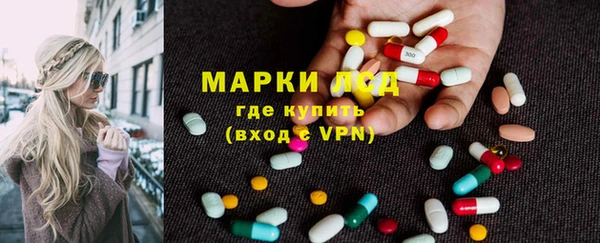 крисы Галич