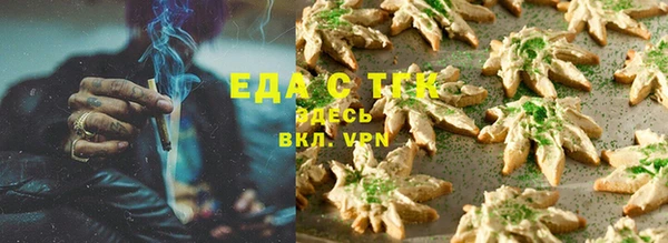ГАЛЛЮЦИНОГЕННЫЕ ГРИБЫ Аркадак