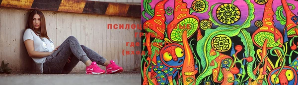 ГАЛЛЮЦИНОГЕННЫЕ ГРИБЫ Аркадак