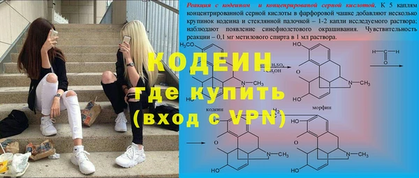 ГАЛЛЮЦИНОГЕННЫЕ ГРИБЫ Аркадак