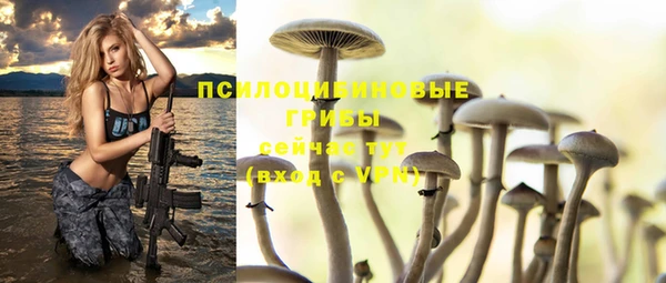 амф Алзамай